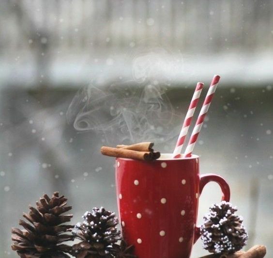 رستوران بخور برو